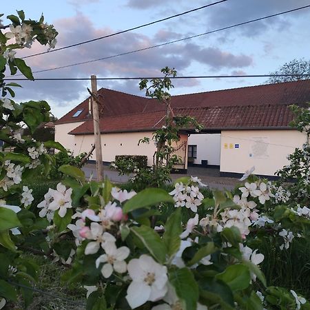 Het Hemelsveld Bed & Breakfast Hasselt Bagian luar foto