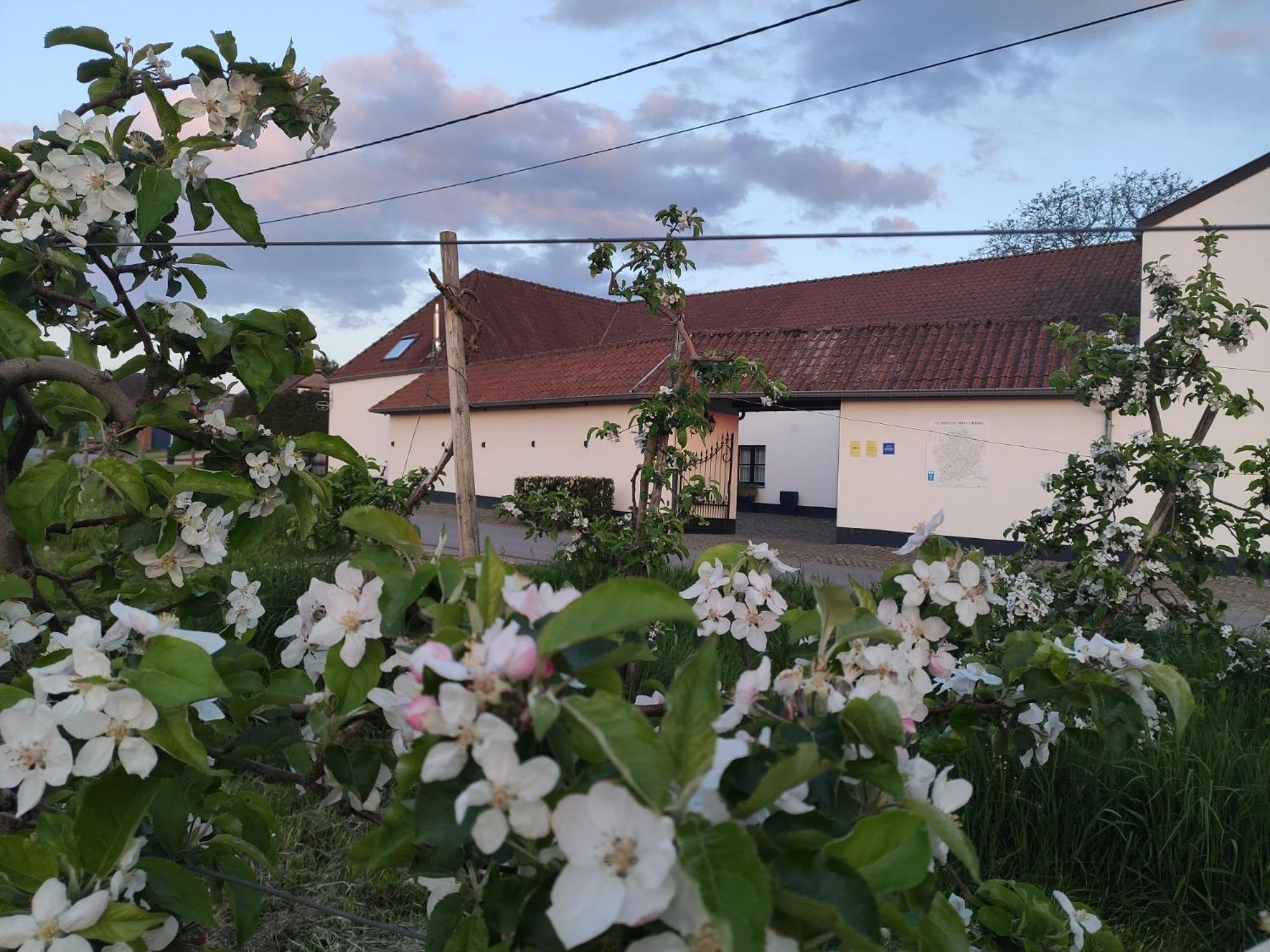 Het Hemelsveld Bed & Breakfast Hasselt Bagian luar foto